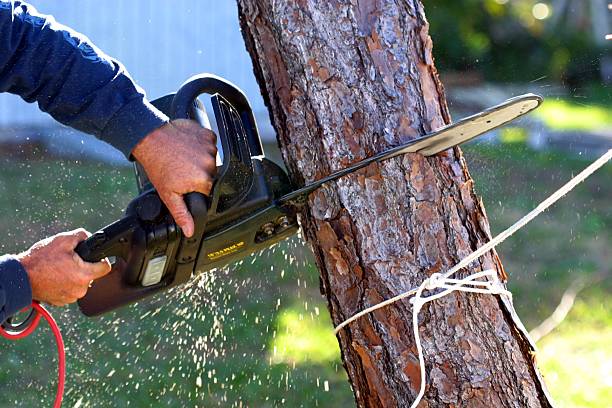 Lawn Irrigation Installation and Maintenance in Elgin, IL